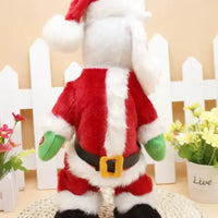 Santa Claus Ornaments